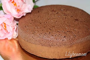 Pan di Spagna al cacao senza glutine | paninisopraffini.com