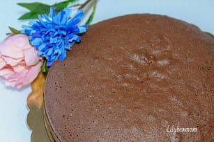 Pan di Spagna al cacao | paninisopraffini.com