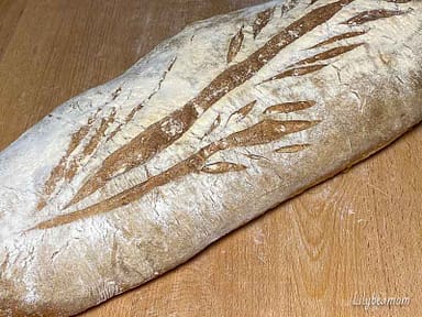 Filoni al lievito madre | paninisopraffini.com