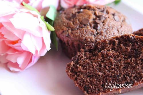 Muffin al cioccolato0 (0)